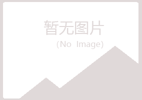 文山县忆伤能源有限公司